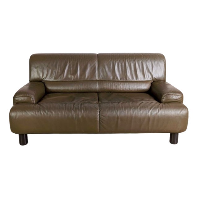 DS 18 Two-Seater Sofa in Leather from De Sede For Sale