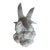 Off-White Seagull Sculpture Cloud / Rock Base - Decorative Home Art - Resin. 4”. For Sale
