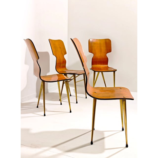 Four chairs with curved plywood frames, brass supports, and details. Backrests and seats in curved plywood veneer and...