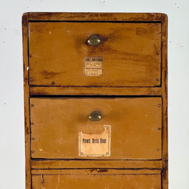 American Spectacular Diminutive Antique Painted Pine Apothecary 3 Compartment Cupboard With Labels For Sale - Image 3 of 16