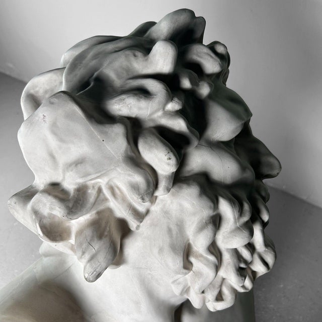 Plaster Bust of Laocoön, 1960s For Sale - Image 14 of 18