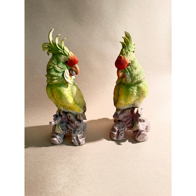 Asparagus 70s Large Pair of Mantle Parrots Birds For Sale - Image 8 of 8