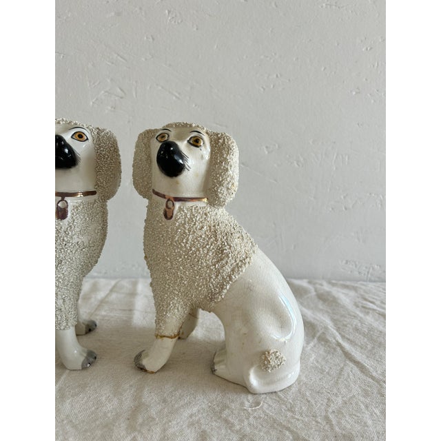 Staffordshire Antique 19th Century English Pair of Staffordshire Poodles For Sale - Image 4 of 12
