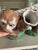 Antique Pair of Early Export Chinoiserie Ceramic Monkey Vase/Candlestick Holders For Sale - Image 12 of 12