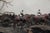 Diorama of Royal Artillery Gun Team, 1920s For Sale - Image 3 of 11