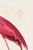 John James Audubon Pink Flamingo (Audubon, Birds of America), Vintage Art Print Reproduction, 32" X 48" For Sale - Image 4 of 12