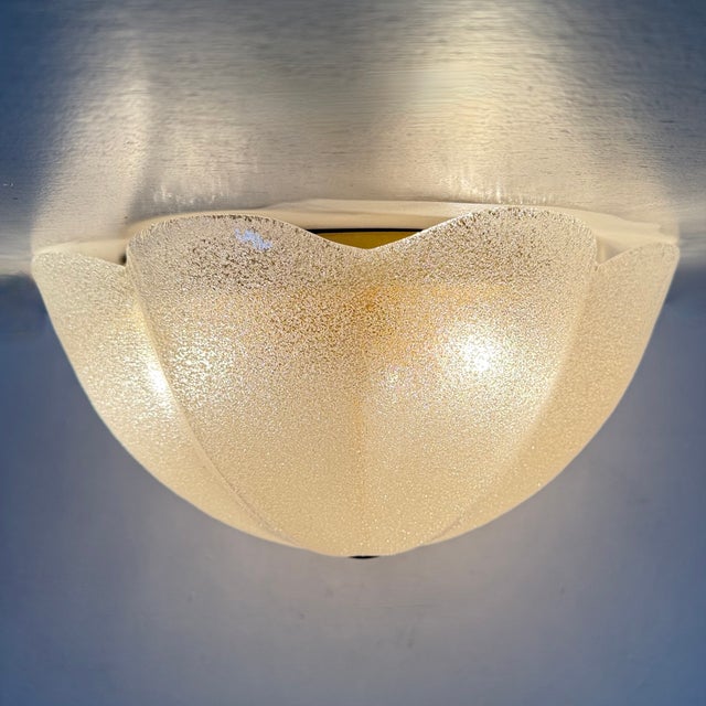 Italian Glass Ceiling Lamp by La Murrina, 1970s For Sale - Image 4 of 18