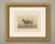 An original antique chromolithograph, printed in color, lettered "race bretonne, vache." and published in paris about 1863...