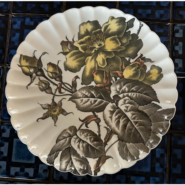 Antique 1880’s Tc Brown Westhead Moore & Co Scalloped Edge Botanical Plates 8.5” ~ Set of 6 For Sale In Philadelphia - Image 6 of 11