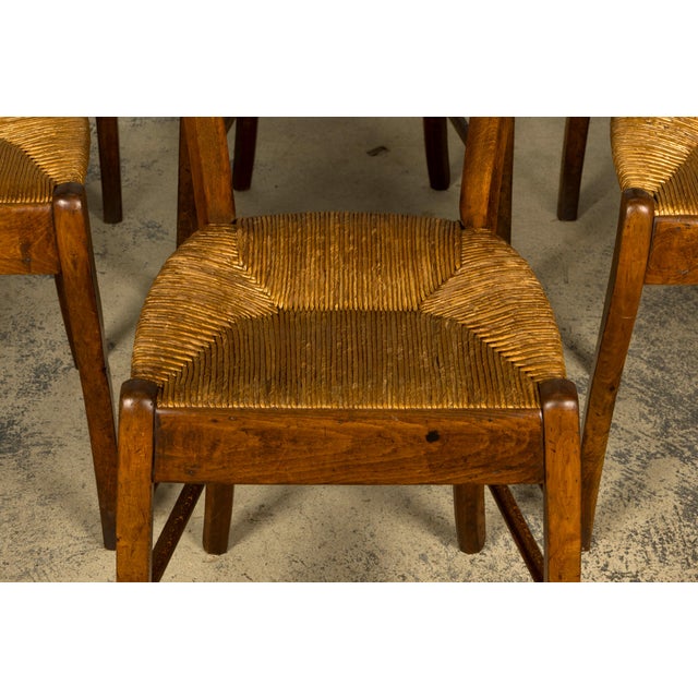 Set of 14 Mid-19th Century French Provincial Petite Maple Rush Seat Dining Chairs For Sale - Image 12 of 18