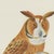 After Descourtilz, Striped Owl, Barn Owl and Pygmy Owl, 1944, Print For Sale - Image 3 of 12