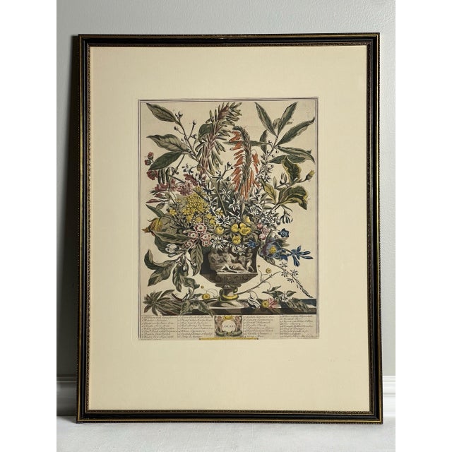 Late 20th Century Framed Prints, 12 Months of Flowers by Robert Furber Orig. 1730 - Set of Four For Sale - Image 4 of 18