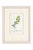 Set of Four Antique Alpine Botanical Chromolithographs in Custom Frames Circa 1909 Set B For Sale - Image 4 of 6