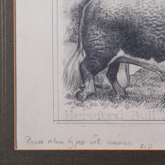Brown Vintage Hereford Bull Sketch, English, Framed Art, Stamp Proof, Barry Driscoll For Sale - Image 8 of 11