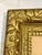 Early 20th Century Framed J. Gould Bird Prints in Ornate Gilt Frames - a Pair For Sale - Image 12 of 18