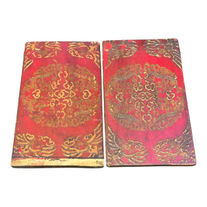 Antique Tibetan Wooden Cabinet Doors With Embossed Dragon and Bird Motifs, Pair