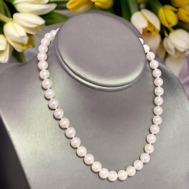 Fine Quality 8.5 mm Akoya Pearl 16 inch Strand Necklace with a 14k Yellow Gold Clasp Certified $3,950 111841 This is a...