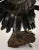 Figure of an eagle, made of metal sitting on a lava stone by the artist J. van den Heuvel. The figure can be free-...