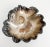Rustic vintage silver-plated bowl with a nautilus shell design. The bowl has a ruffled edge and a spiral pattern in the...