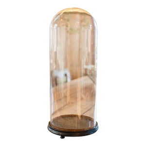 1900's Tall Victorian Antique Specimen Showcase