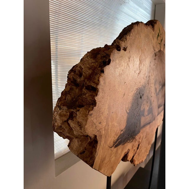 Rebirth by Oda & King | Oil on maple burl depicting a curled figure on wood. For Sale - Image 4 of 4