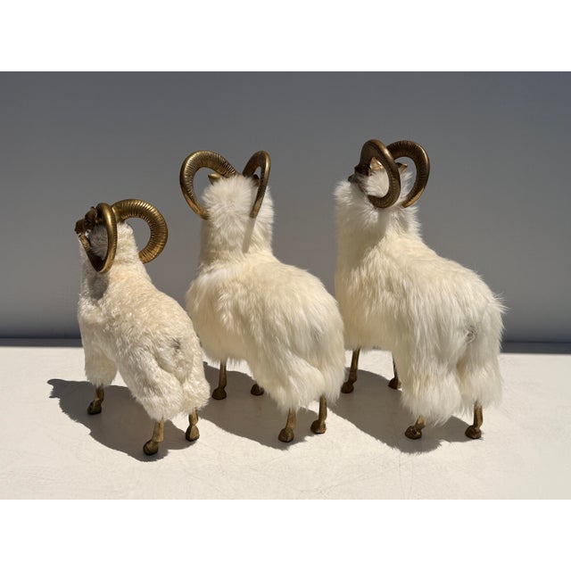 1970s Set of Brass and Fur Mountain Sheep Ram Sculptures - Set of 3 For Sale - Image 11 of 12