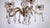 Brass-Lead Crystal Five-Light Chandelier from H.Richter, 1960s For Sale - Image 13 of 13