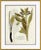 18th Century Botanical Engravings IX Framed Art Print For Sale