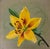 Modern Oil Painting - Yellow Flower For Sale