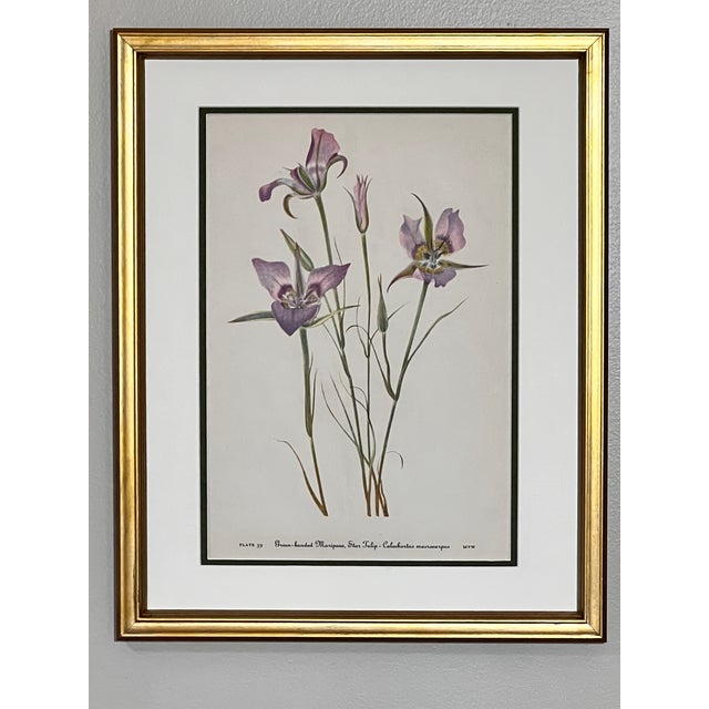 This beautiful set of 6 slightly distressed gold framed original vintage purple wild flower botanical prints were...