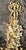 Gold 1900s Italian Gilt Wood Carved Sconces - Pair of 2 For Sale - Image 8 of 11