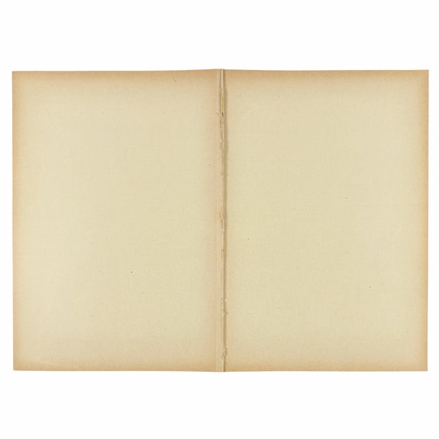 Yellow 1888 German Total Solar Eclipse Map | Antique Astronomy by Edmund Weiss For Sale - Image 8 of 8