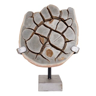 Septarian Nodule on Base For Sale
