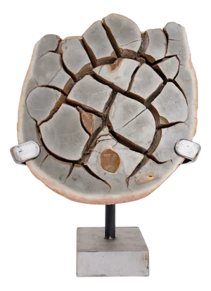 Septarian Nodule on Base
