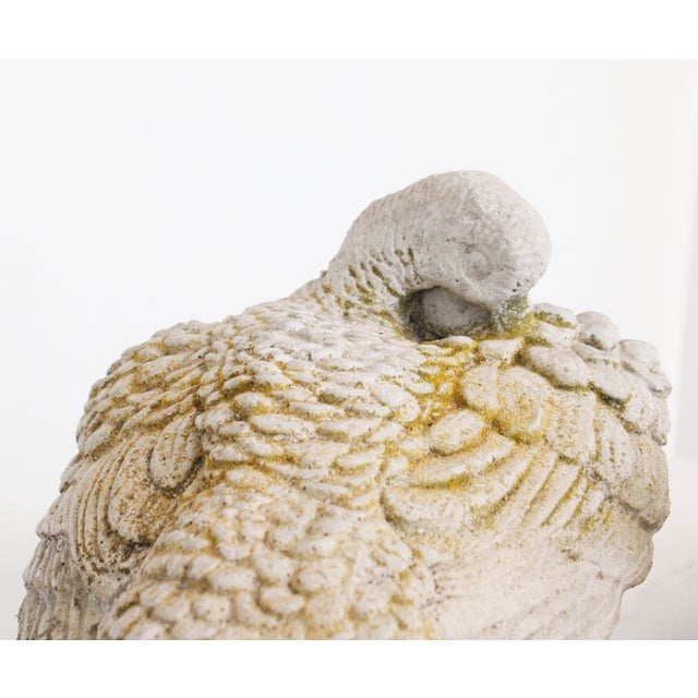 Large Pair of Vintage Garden Dove birds. Wouldn't these be charming tucked in between your favorite garden bloom's?...