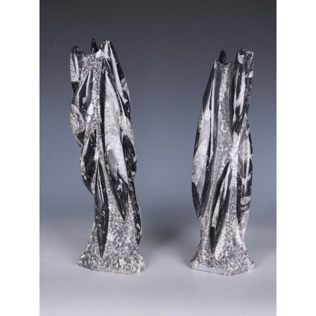 Hand-Carved Orthoceras Fossil Sculptures in Black Limestone, Morocco, Set of 2 For Sale - Image 7 of 15