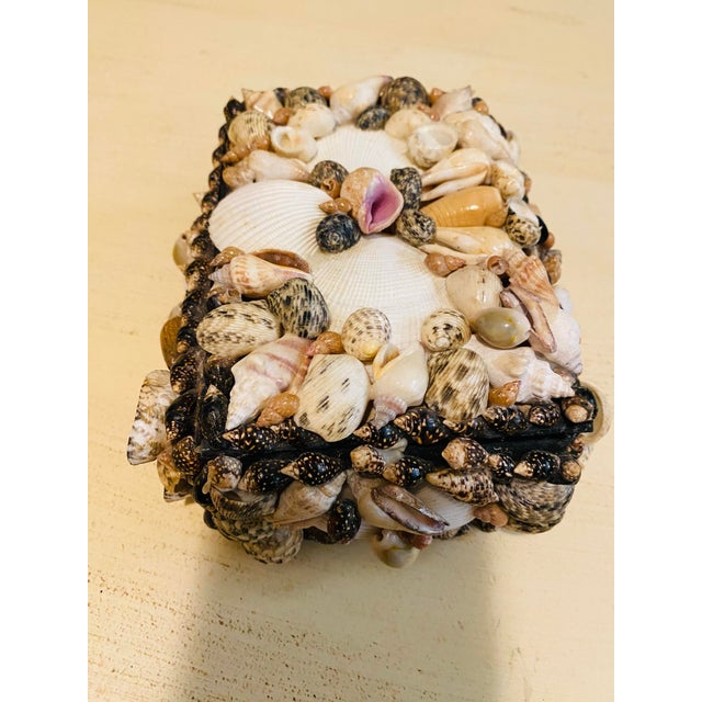 1970s Shell Encrusted Treasure Box For Sale In Miami - Image 6 of 10
