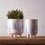 Modern Modern Pine Tree Planter with Legs (Set of 2) For Sale - Image 3 of 4
