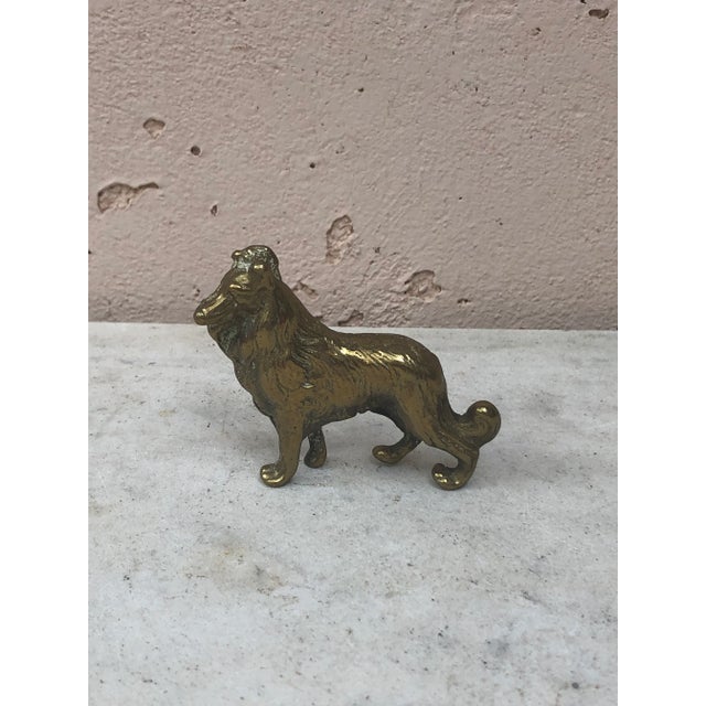 1950s C.1950 Petite English Brass Dog Collie For Sale - Image 5 of 5