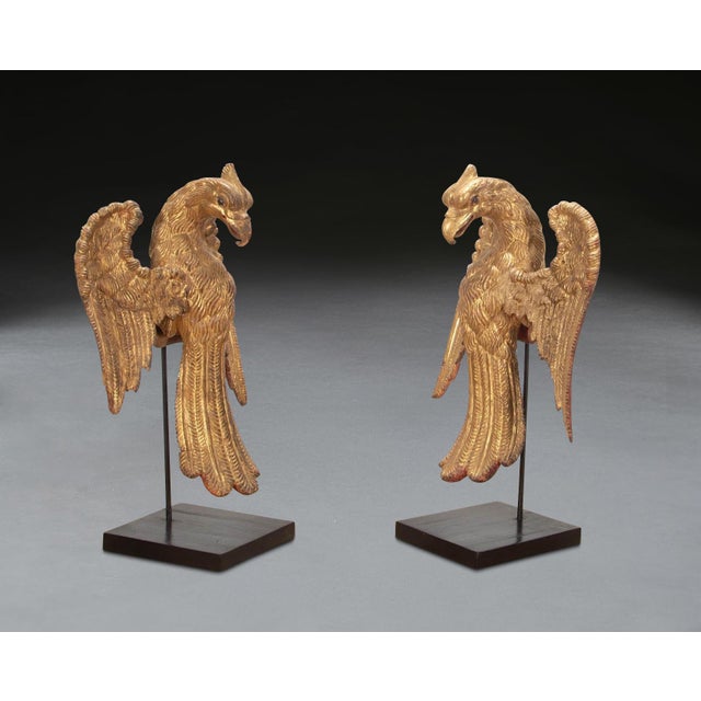 Antique Giltwood Eagles, 1840, Set of 2 For Sale - Image 3 of 12