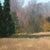 1980s Mid 20th Century Landscape Oil Painting by William Rabon of Autumn Field With Trees and Blue Sky For Sale - Image 5 of 15