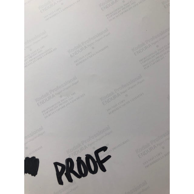 2000 - 2009 Peter C. Jones 1, Snipes Vessel, Ceramic Large Format Photo 24X20 Color Photograph Beach House, 2004 For Sale - Image 5 of 7