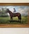 Mid 20th Century Mid 20th Century English Sporting Oil Painting of Jockey Joe Mercer and Brigadier Gerard For Sale - Image 5 of 8