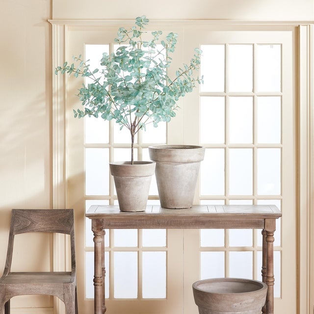 Realism Eucalyptus Tree Drop-In 49" For Sale - Image 3 of 4