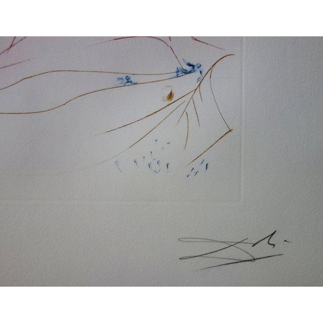 Salvador Dali, Le Vaisseau fantôme Hommage à Wagner, Lithograph For Sale - Image 6 of 7