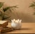 Elevate your sanctuary with the tranquil grace of our Hand Carved White Marble Lotus Tea Light Holder, a true testament to...