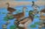 Realism Mallard Ducks in Pond With Lily Pads, Horizontal Landscape by Hugh Hendry For Sale - Image 3 of 10