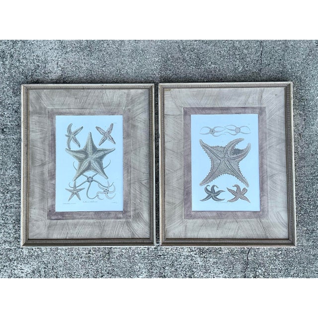 Vintage John Richard Starfish Prints - Set of 2 For Sale - Image 11 of 12