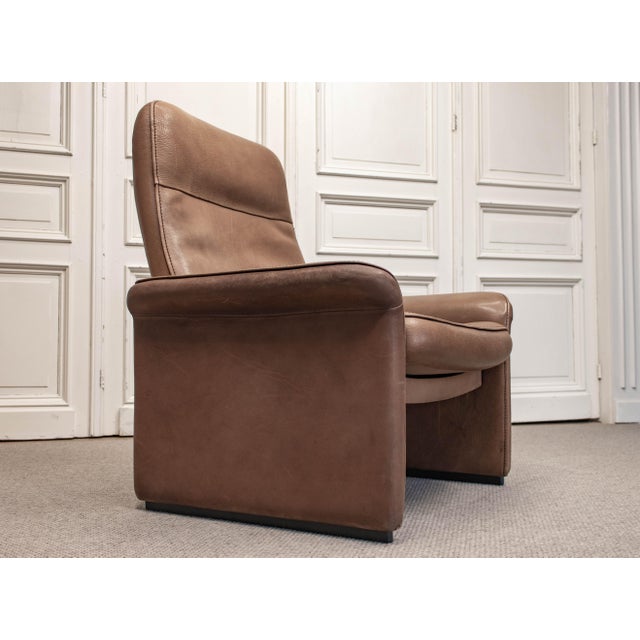 Animal Skin DS-50 Lounge Chair from de Sede, Switzerland, 1960s For Sale - Image 7 of 11