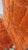 Orange Terracotta Orange Carved Wool Moroccan Beni Mrirt Rug For Sale - Image 8 of 15